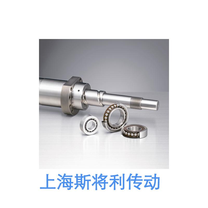 WBK25DFD-31H-高载荷机床专用支承单元